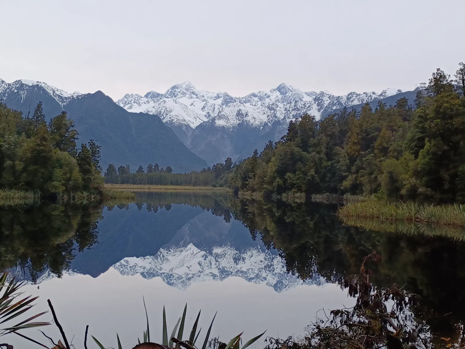 Southern Alps reflected in Lake Matheson under a pale overcast sky