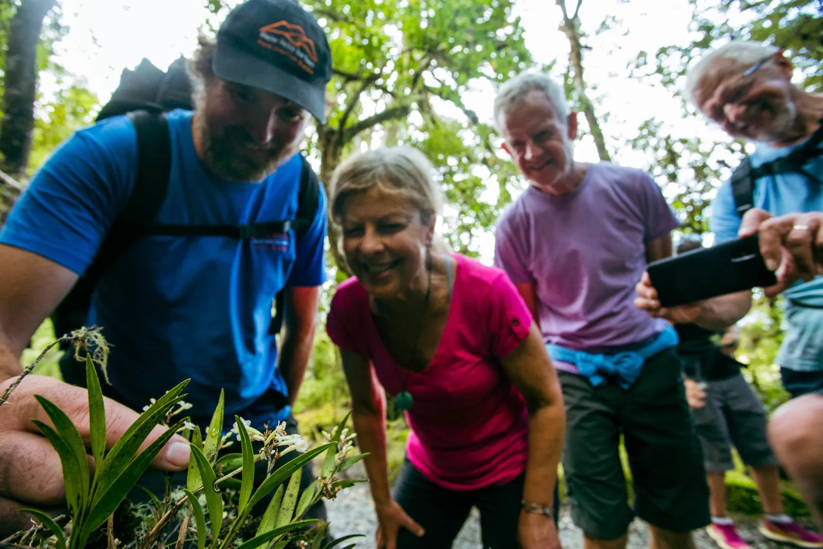 Guide and three smiling walkers looking at a phone among bush on the lake track